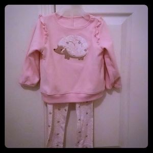 Baby Girl porcupine outfit